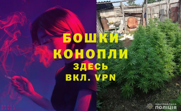гашик Алексеевка