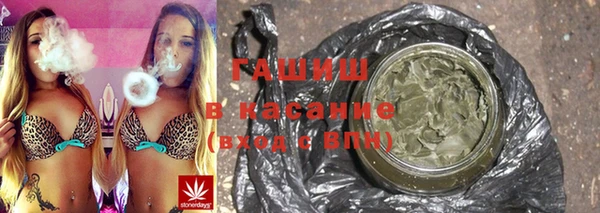гашик Алексеевка